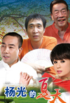 杨光的夏天